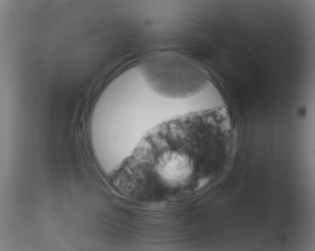 X0000114670475200910211013