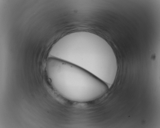 X0000114670476200910211013