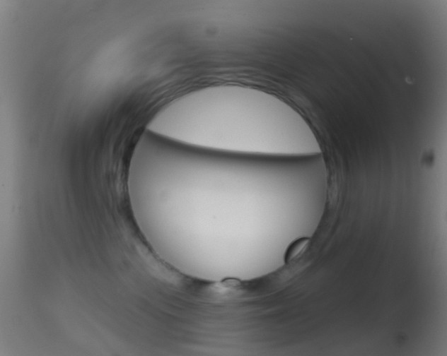 X0000114670477200910211013