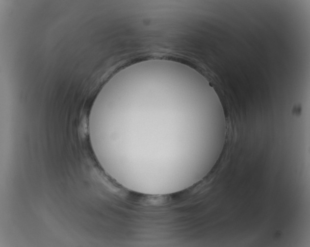 X0000114670479200910211013