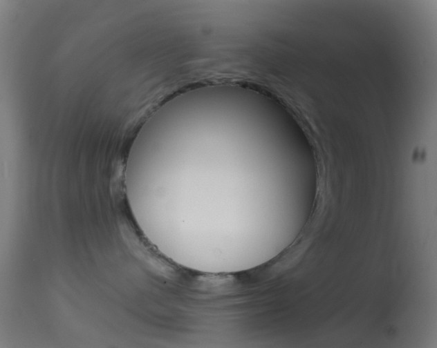 X0000114670480200910211013
