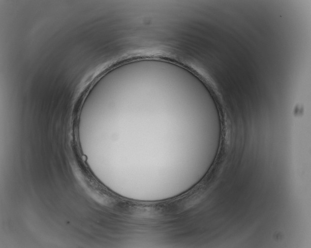 X0000114670486200910211012