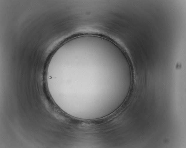 X0000114670487200910211012