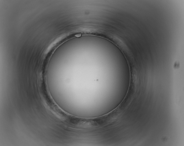 X0000114670488200910211012