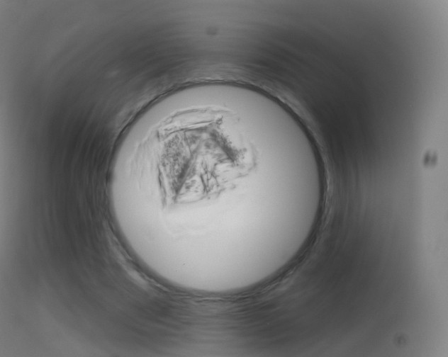 X0000114670489200910211012