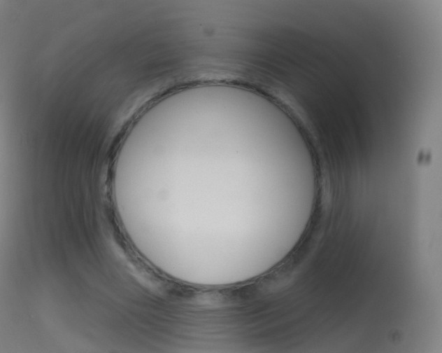 X0000114670490200910211012