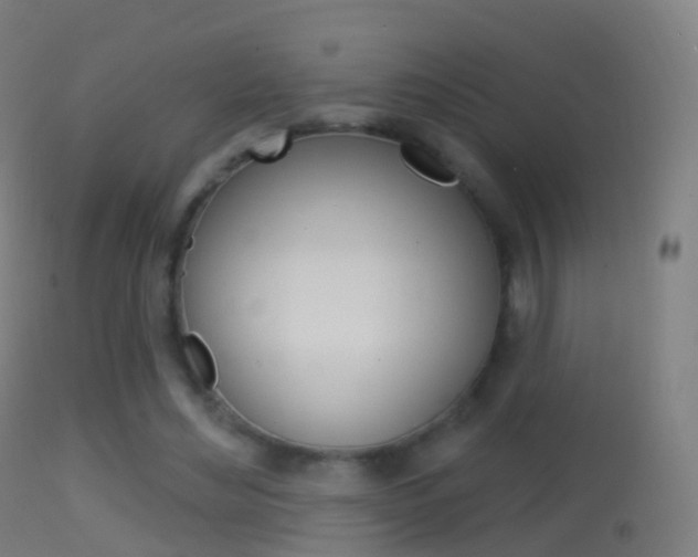X0000114670492200910211012