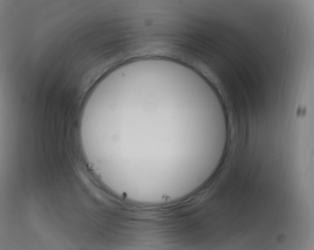 X0000114670493200910211012