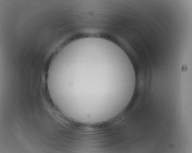 X0000114670494200910211012