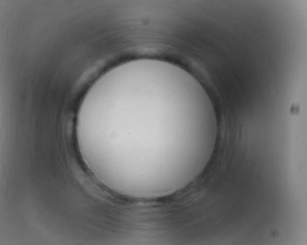 X0000114670495200910211012