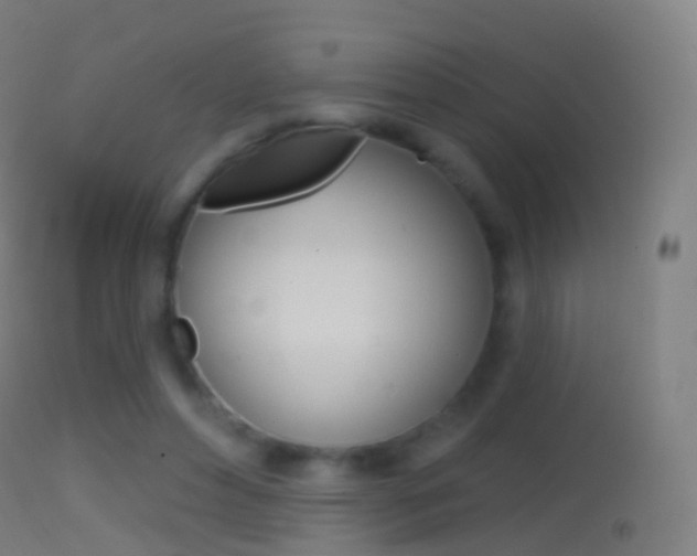 X0000114670496200910211012