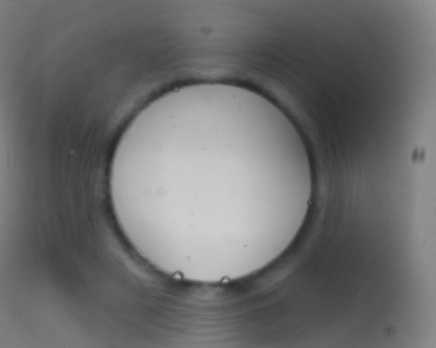 X0000114670497200910211012