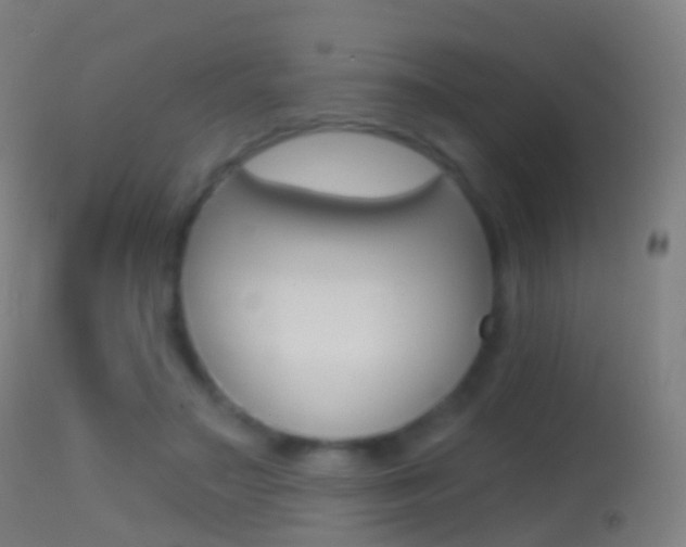 X0000114670499200910211012