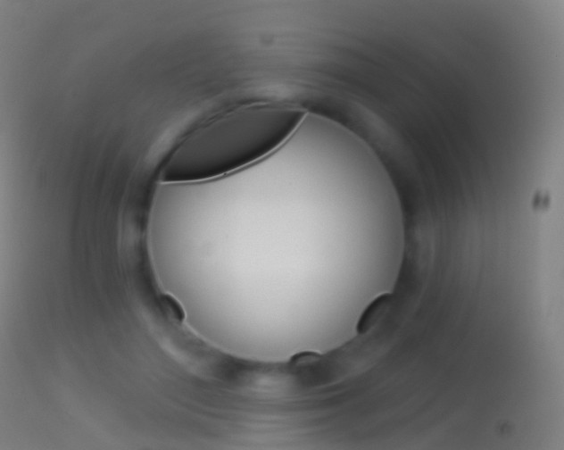 X0000114670500200910211012