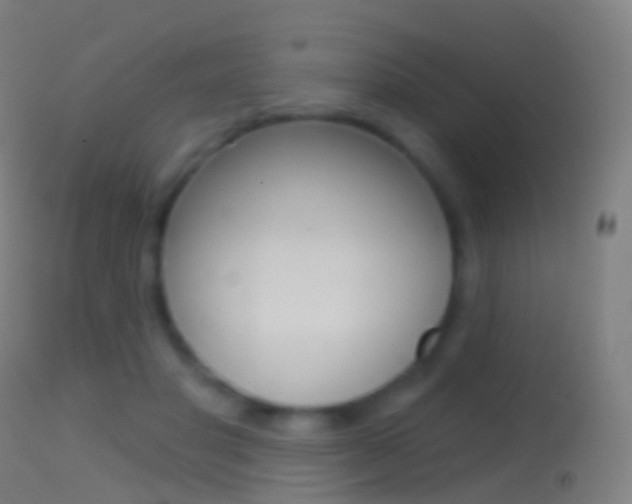 X0000114670501200910211012