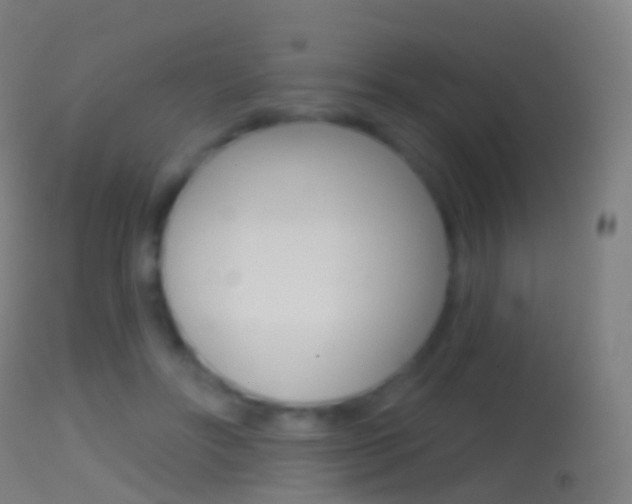 X0000114670502200910211012