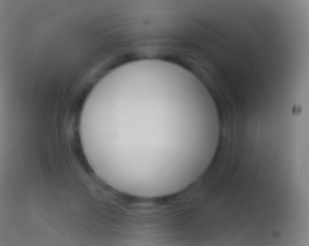 X0000114670503200910211012