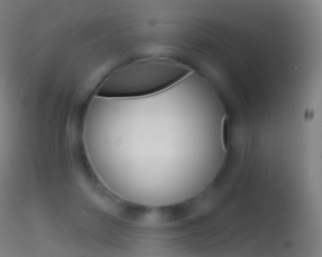 X0000114670504200910211012