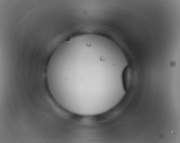 X0000114670505200910211012