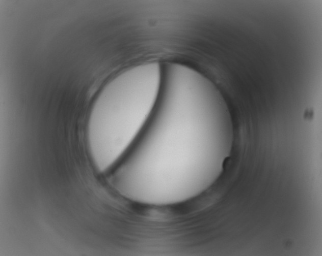 X0000114670508200910211012