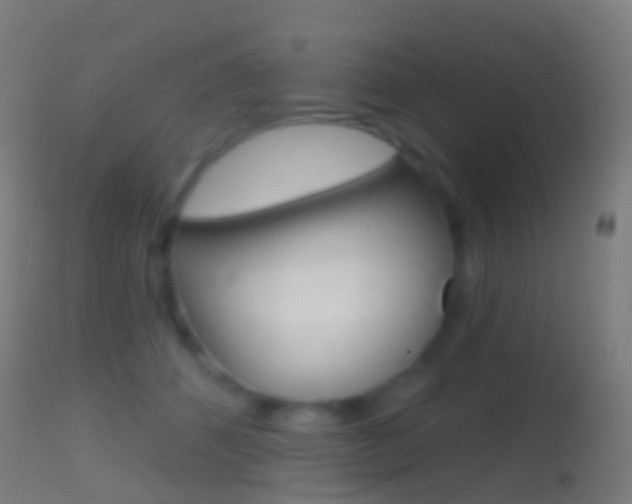 X0000114670512200910211012