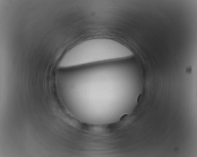 X0000114670516200910211012