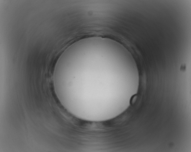 X0000114670517200910211012