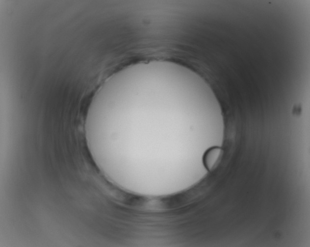 X0000114670518200910211012