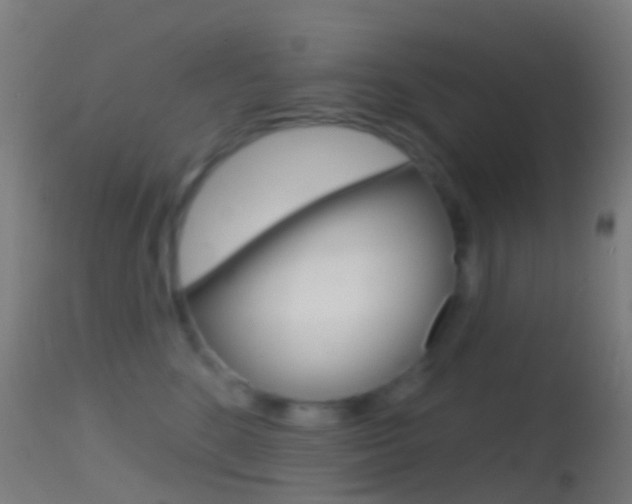 X0000114670520200910211012