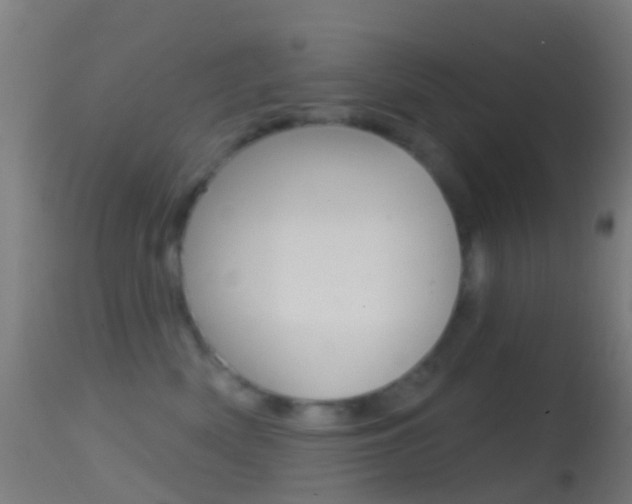 X0000114670522200910211012