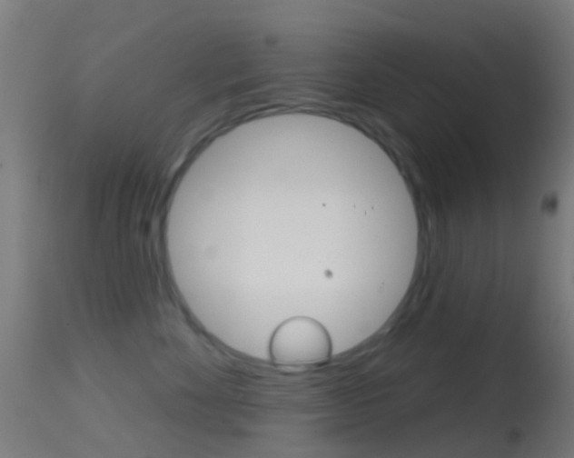 X0000114670524200910211011