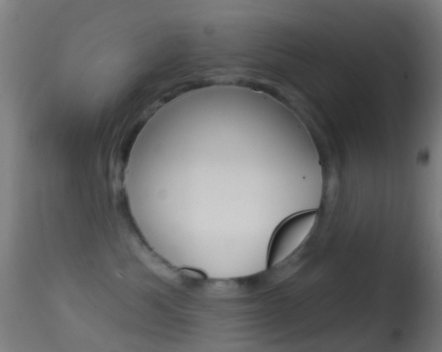 X0000114670525200910211011