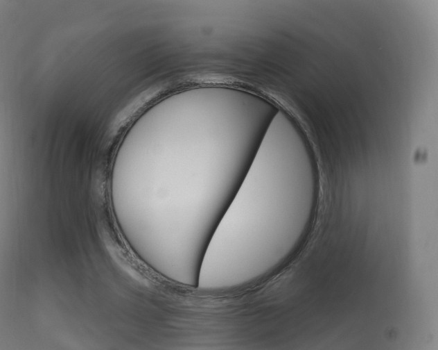 X0000114670533200910211011