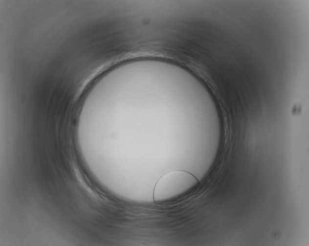 X0000114670534200910211011