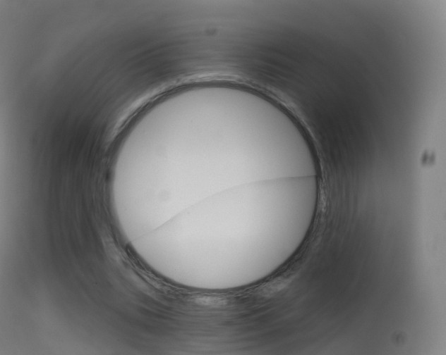 X0000114670535200910211011
