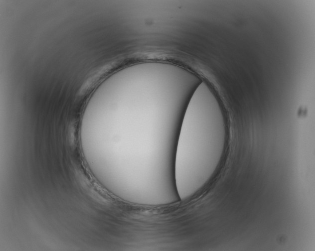 X0000114670537200910211011