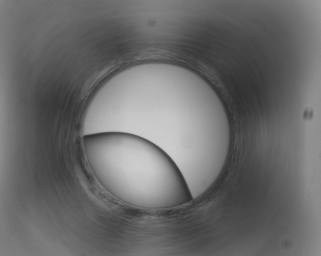 X0000114670538200910211011