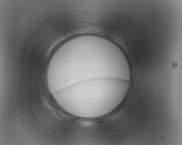 X0000114670539200910211011