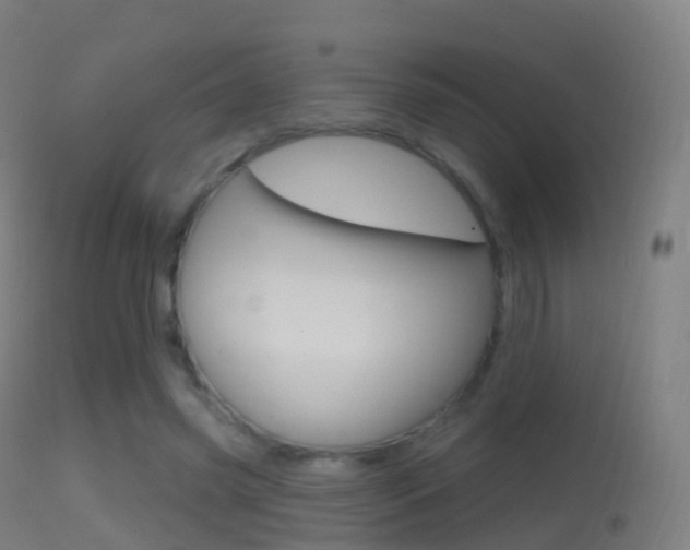 X0000114670541200910211011