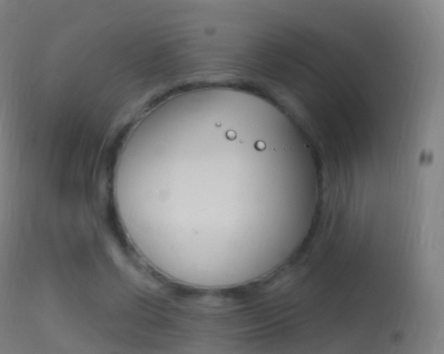 X0000114670542200910211011