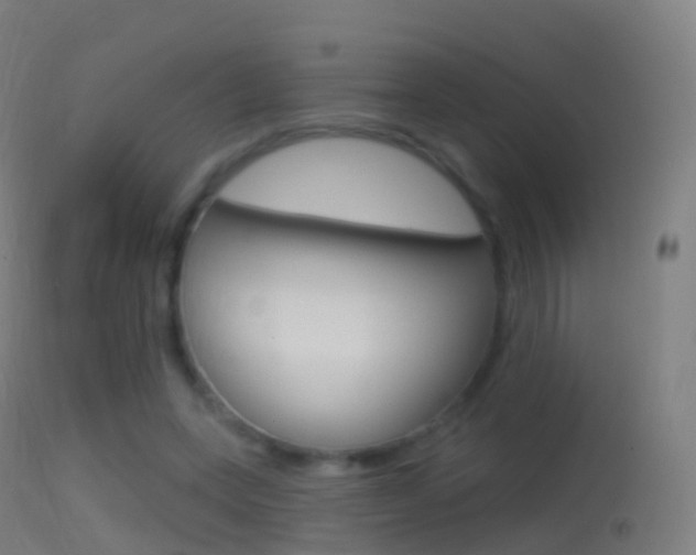 X0000114670543200910211011