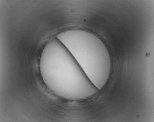 X0000114670545200910211011
