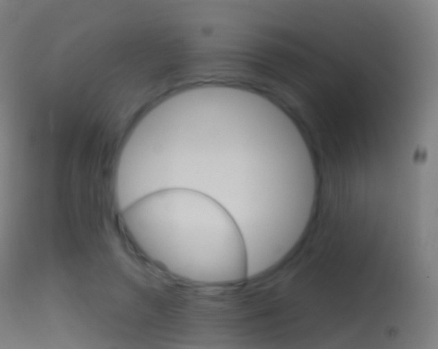 X0000114670546200910211011