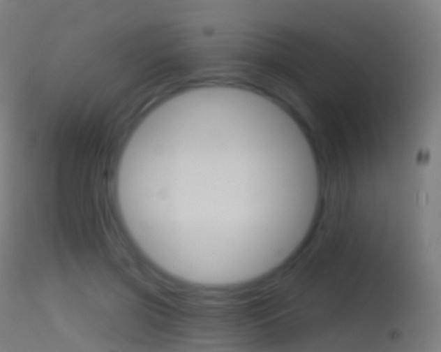 X0000114670549200910211011