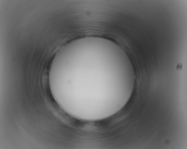 X0000114670550200910211011