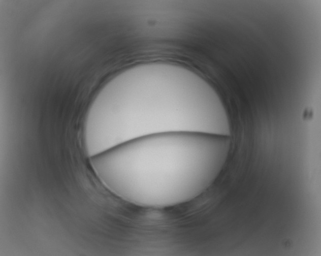 X0000114670551200910211011
