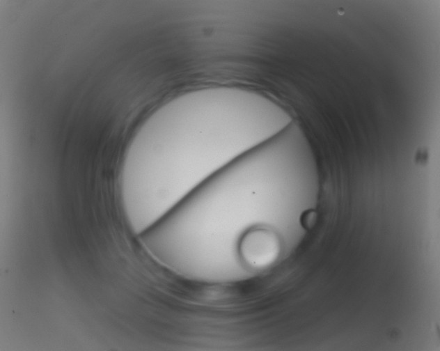 X0000114670555200910211011