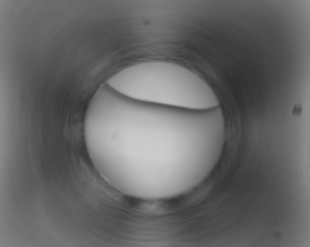 X0000114670557200910211011