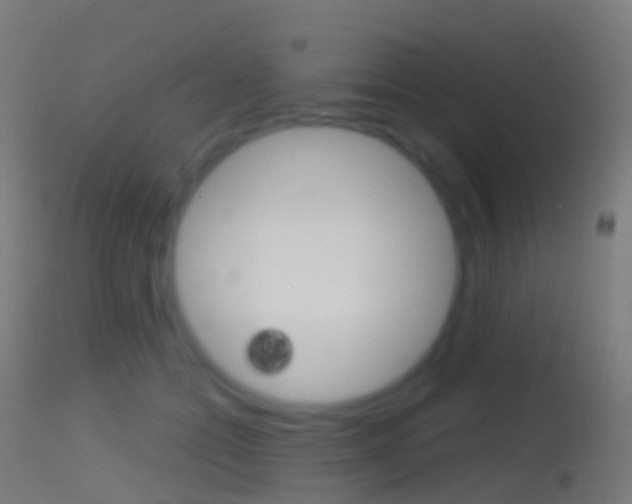 X0000114670558200910211011