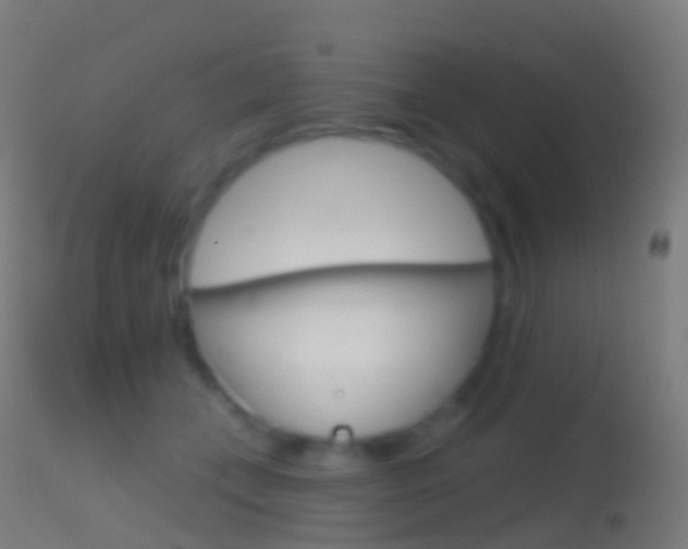X0000114670559200910211011